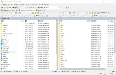 Linux上搭建FTP服务器